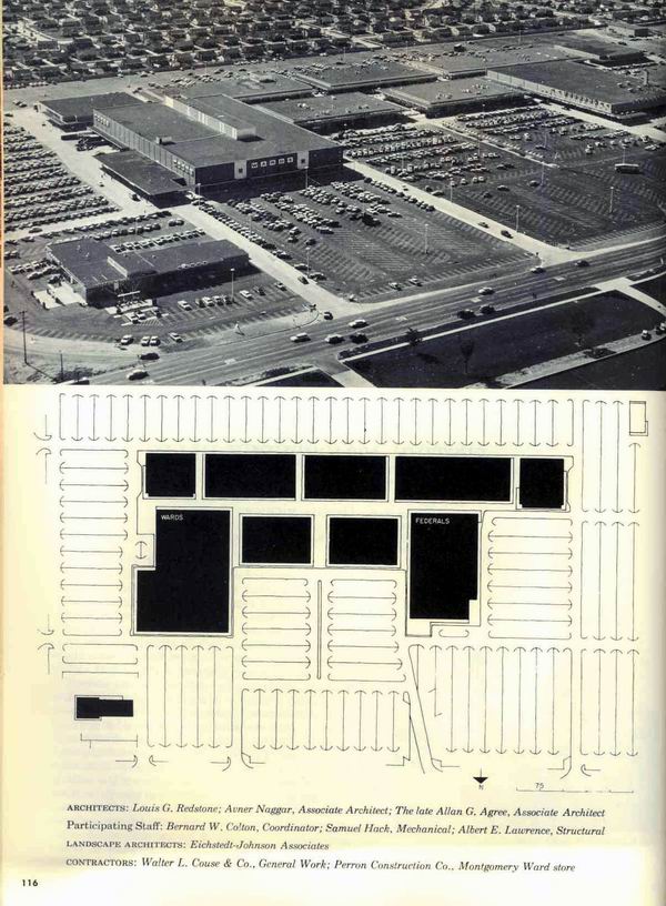 3 Article From Scott Santoro (newer photo)